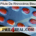 Pilule De Rhinocéros Bleu 06